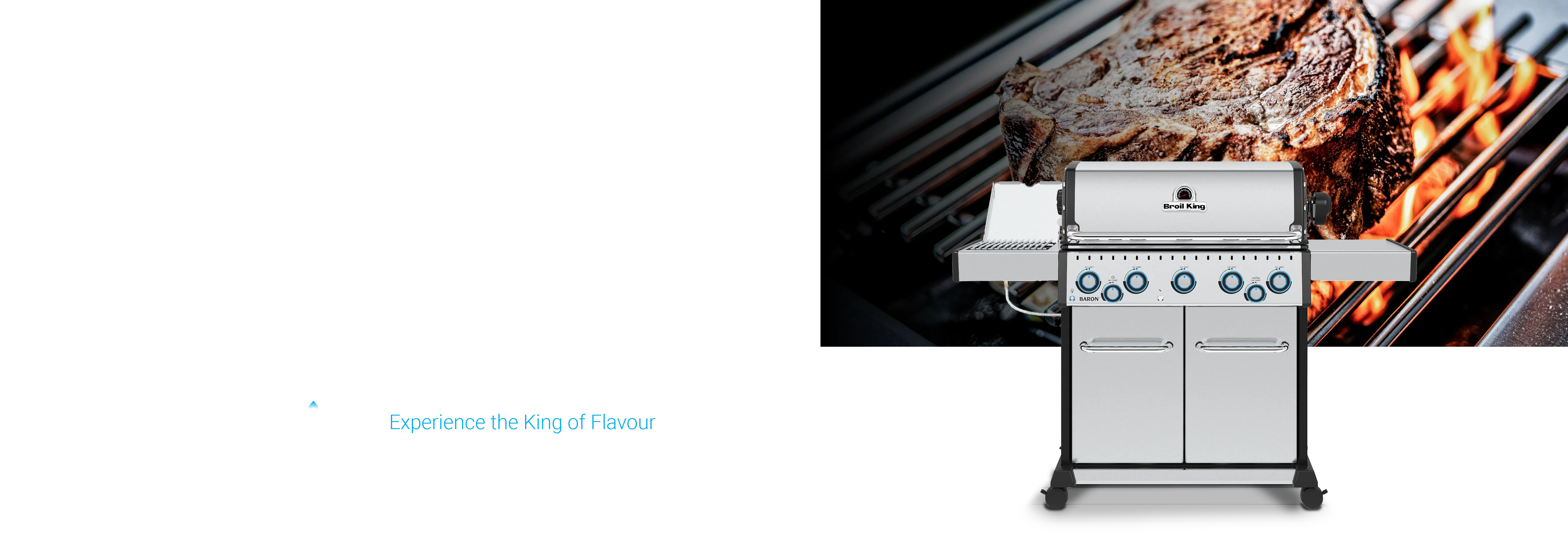 Master the Art of Grilling